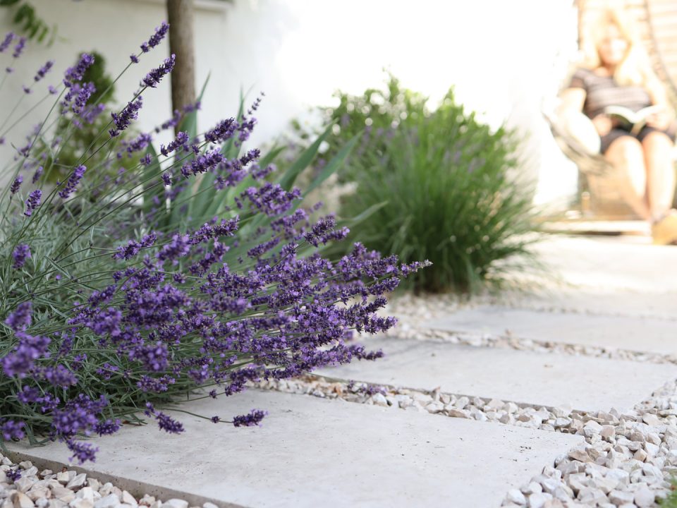 Gartenwelt Mediterraner Garten: Wege mit Travertinplatten