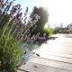 Designgarten | Holzterrasse